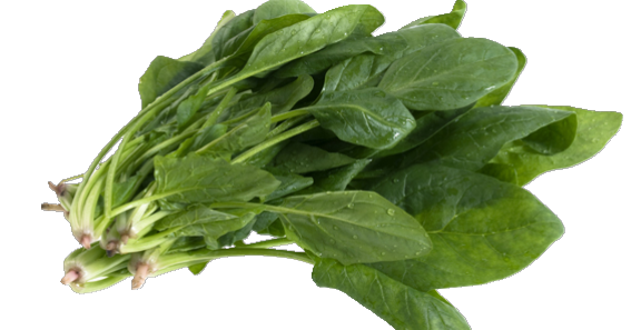 Espinaca