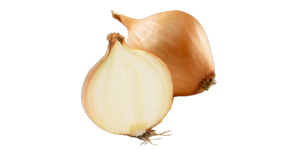 Cebolla