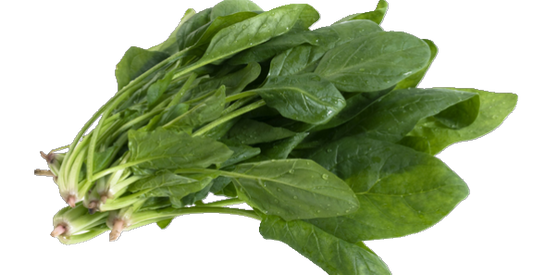 Espinaca