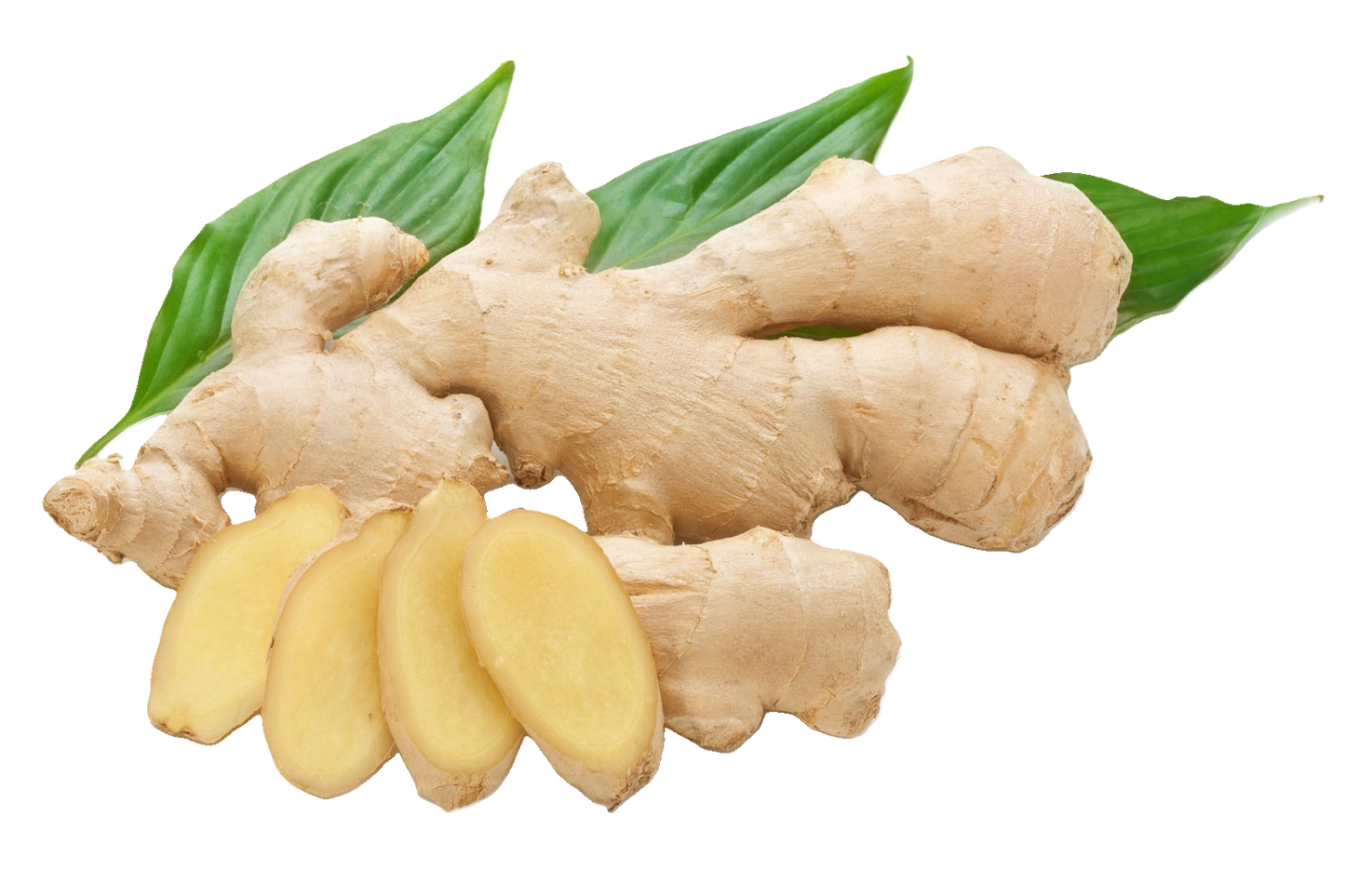 Jengibre