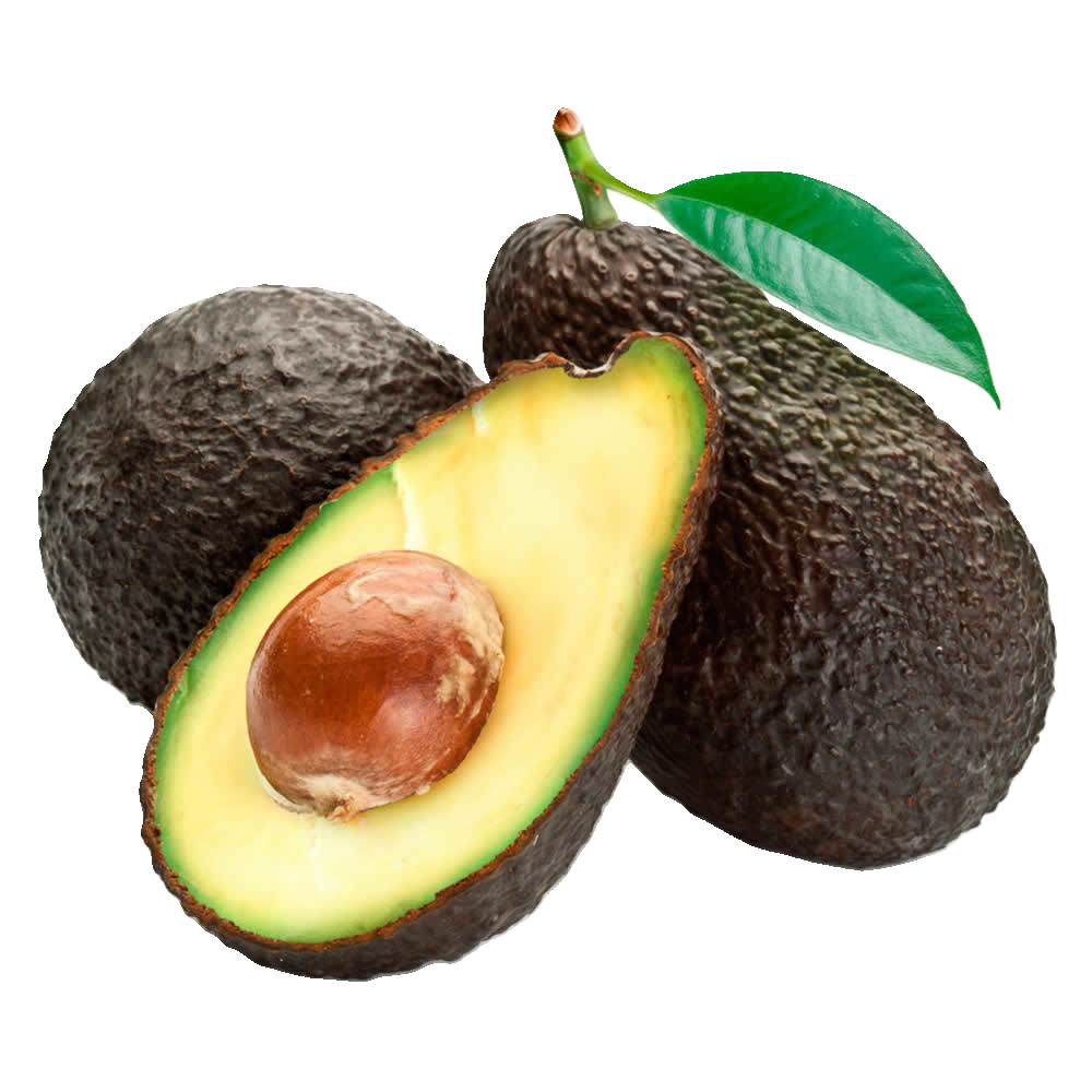 Palta hass Chilena